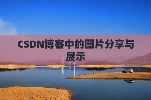 CSDN博客中的图片分享与展示
